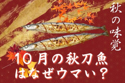なぜ10月のサンマは旨い？秋の魚介に隠れた“科学”と豆知識