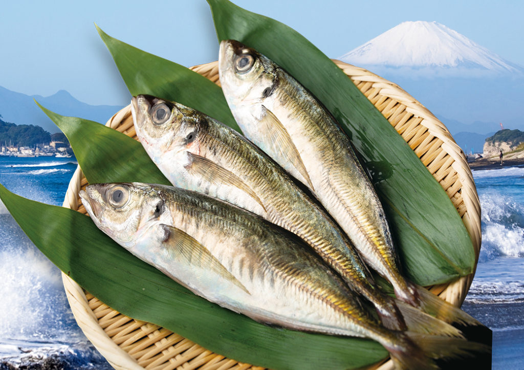 【海鮮】今日は魚気分♡今が旬の鯵(あじ)を味(あじ)わいたいw 居酒屋美食トリビア 【海鮮】今日は魚気分♡今が旬の鯵(あじ)を味(あじ)わいたいw 居酒屋美食トリビア