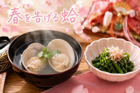 蛤（はまぐり）の旬はいつ？ 菜の花の“ほろ苦さ”がおいしい理由と春の食べ方【居酒屋美食トリビア】