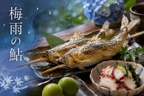 鮎（あゆ）の塩焼きと半夏生（はんげしょう）の蛸（たこ） ― 梅雨どきに味わう旬と“梅仕事”